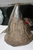 USEFUL RHINO ZERO HORNS ON SALE