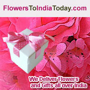 Your all season floral celebration provider is here now