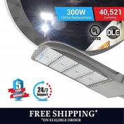 Seamless Design LED Pole Light SILVER finish 300watt.